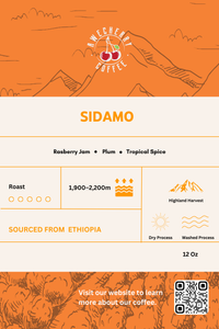 Sidamo Specialty Coffee Natural Process