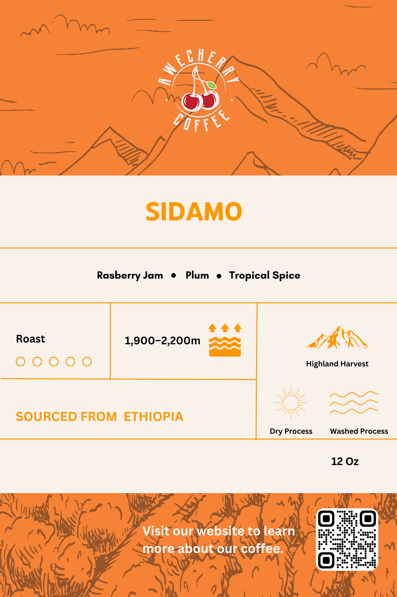 Sidamo Specialty Coffee Washed Process