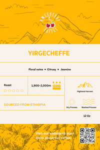 Yirgecheffe Specialty Coffee Washed Process