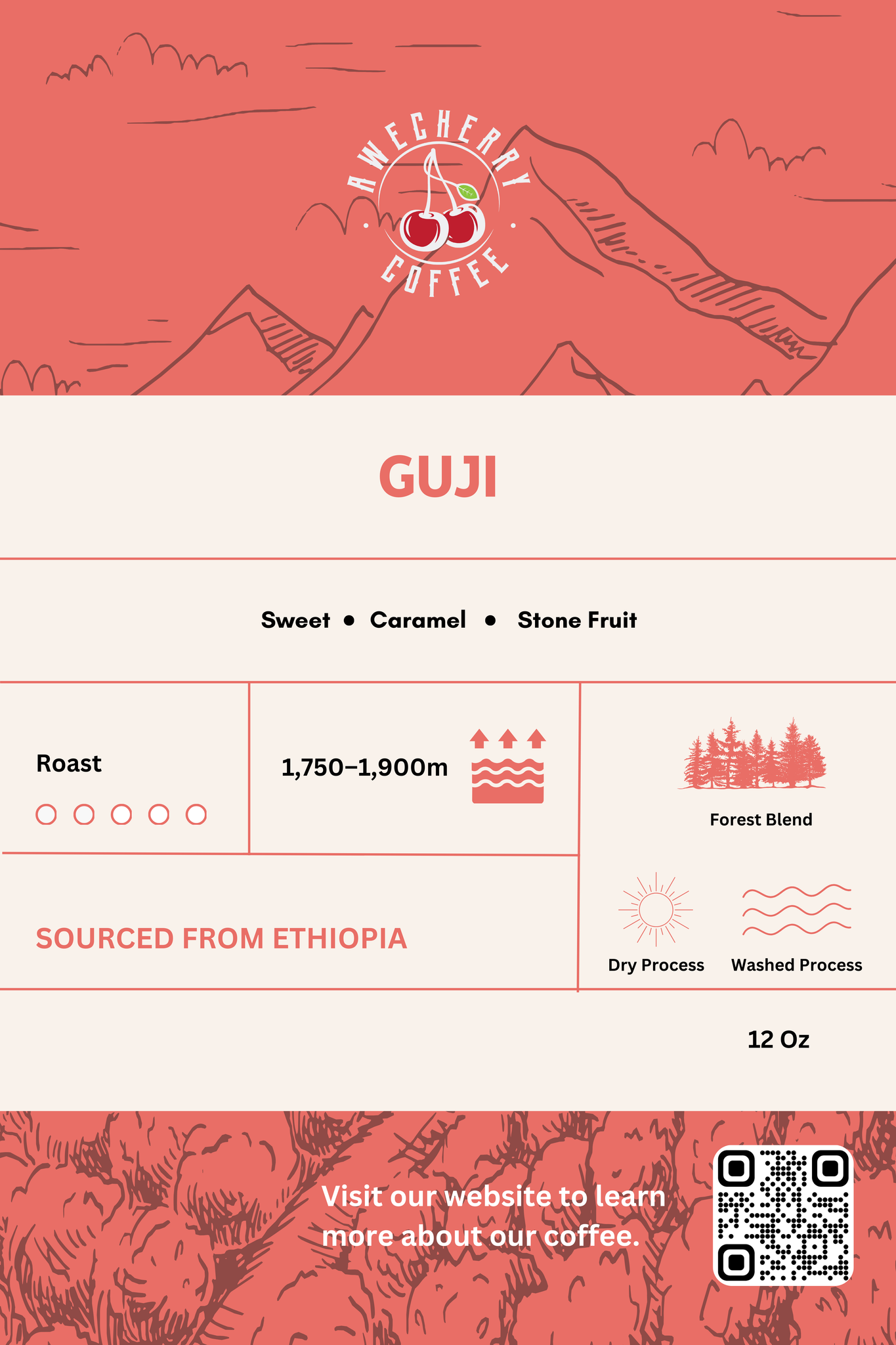 Guji Specialty Coffee Washed Process